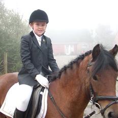 Dartmoor Innis Julian