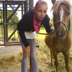 Shetlænder Batman :b *GP* <3