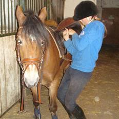 Anden særlig race Bobby<3 (SOLGT):'(!!