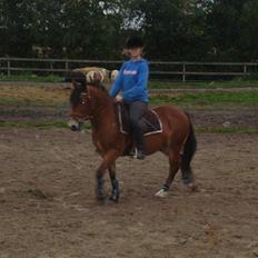 Anden særlig race Bobby<3 (SOLGT):'(!!