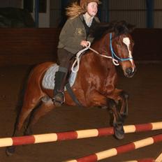 Anden særlig race Snublis (Snubber) †