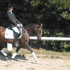 DSP TennesseeToftebanke SOLGT