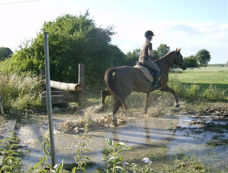 Holstener Miss Money Penny Solgt:( billede 14