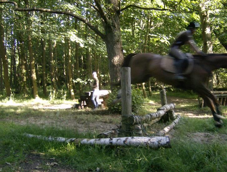 Holstener Miss Money Penny Solgt:( billede 15