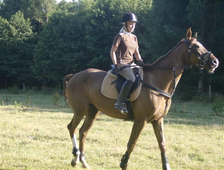 Holstener Miss Money Penny Solgt:( billede 16