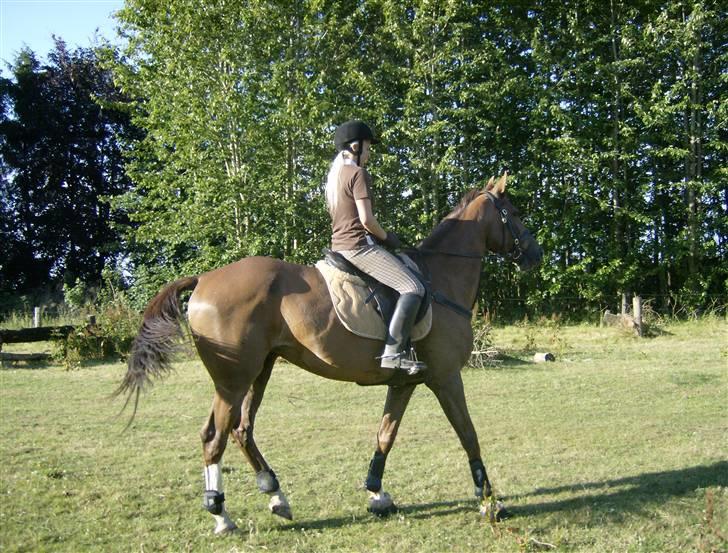 Holstener Miss Money Penny Solgt:( billede 17