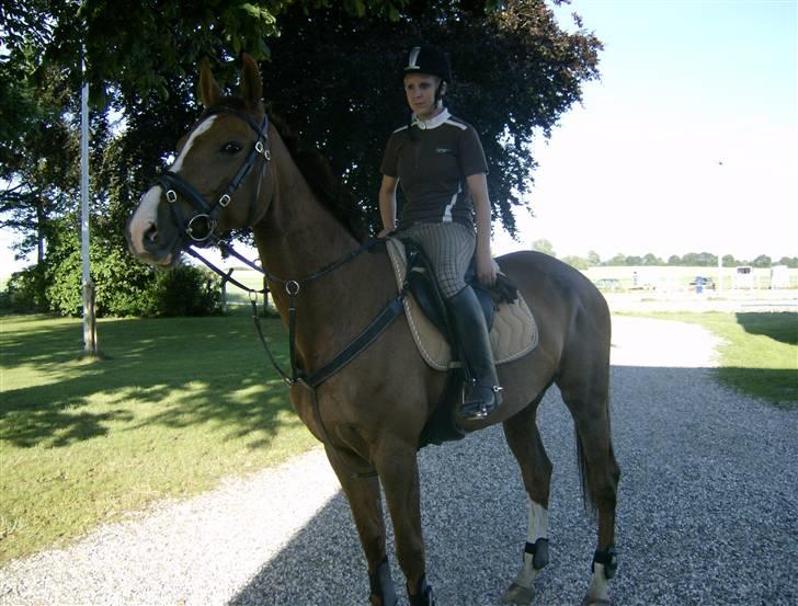 Holstener Miss Money Penny Solgt:( billede 18