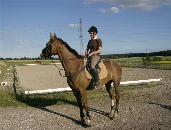 Holstener Miss Money Penny Solgt:( billede 20