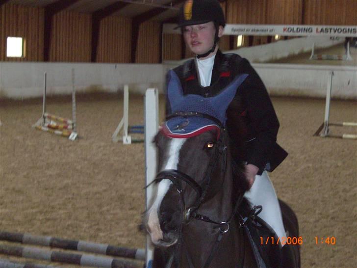 Hollandsk Sportspony Nadja van de Zonnehoeve (Solgt) - Stævne 27. feb. 10  2. plads efter 2 nulrunder billede 13