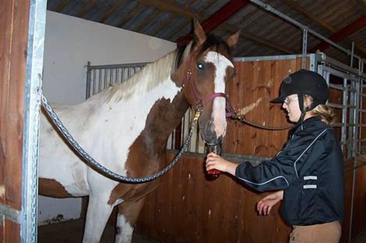 Pinto Cassedy billede 3