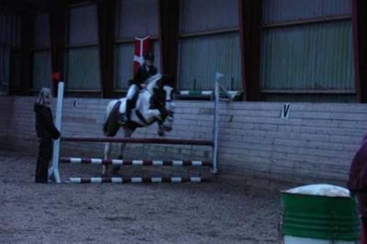 Pinto Cassedy billede 9