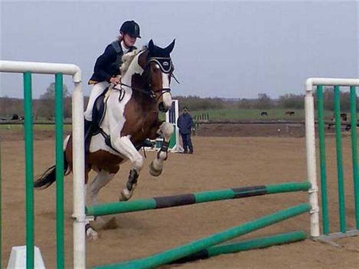 Pinto Cassedy billede 10