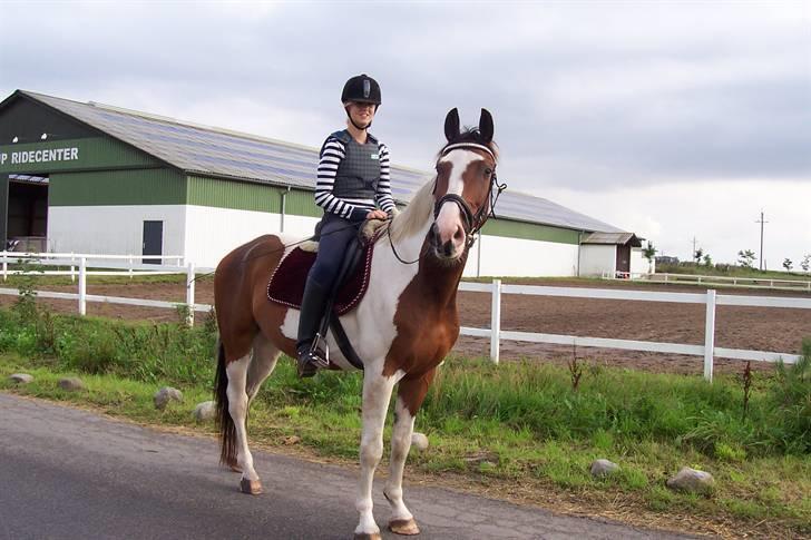 Pinto Cassedy - efter først spring time.. :) smuk smuk :) <33 billede 20