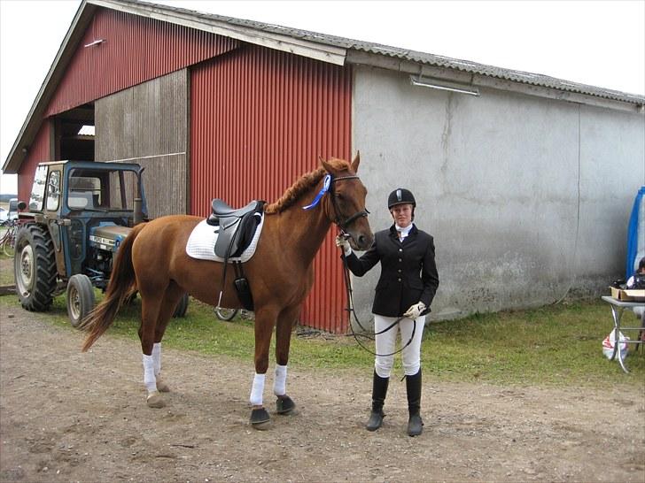Pinto Coco Nyberg Solgt. billede 6