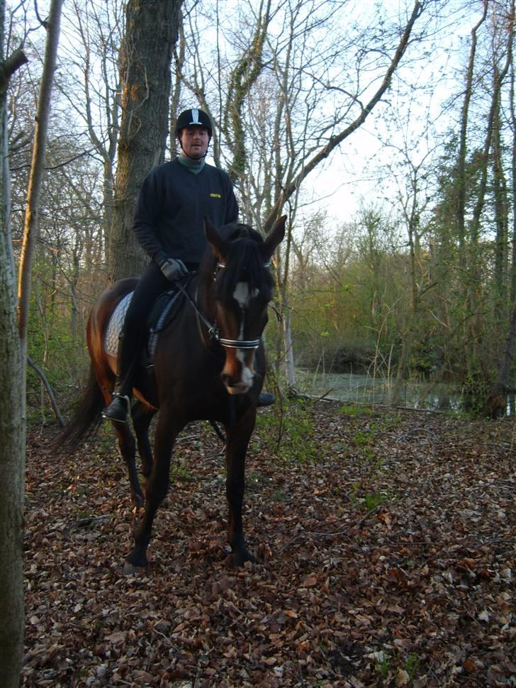 Oldenborg Markus - efterår 2007 billede 4