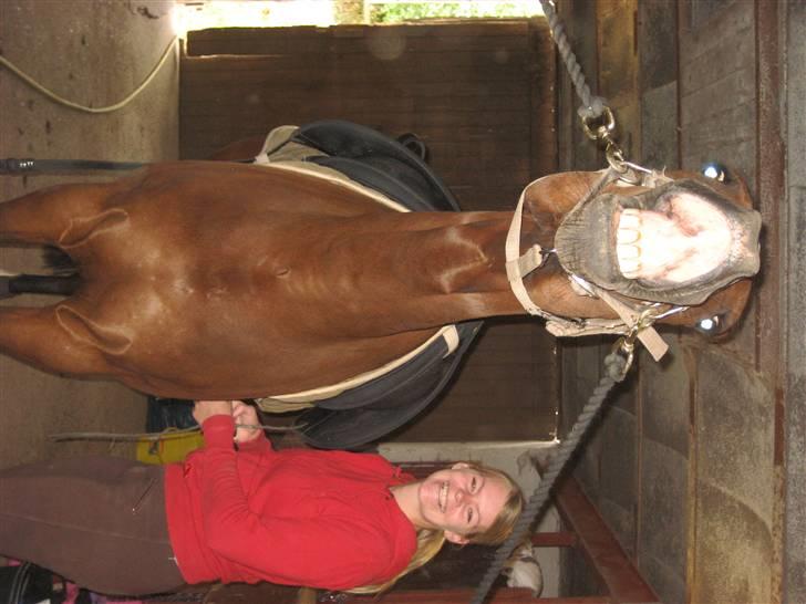 Anden særlig race Rasti billede 4