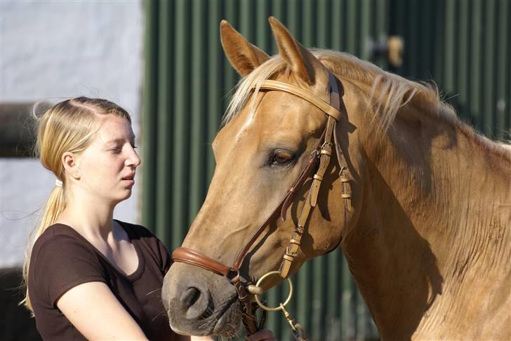 Anden særlig race Trigger Af Sandager billede 5
