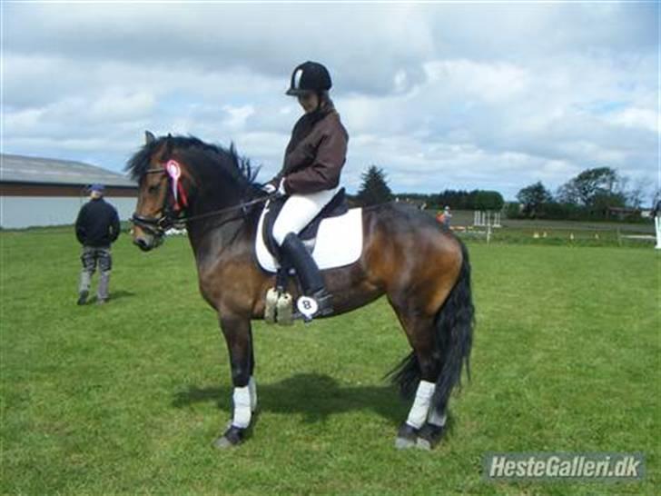 Anden særlig race Victoria - Efter præmieoverrækkelsen i dressur på Vittrup billede 12