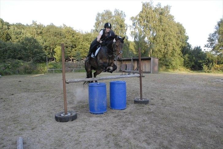 Anden særlig race Victoria billede 13