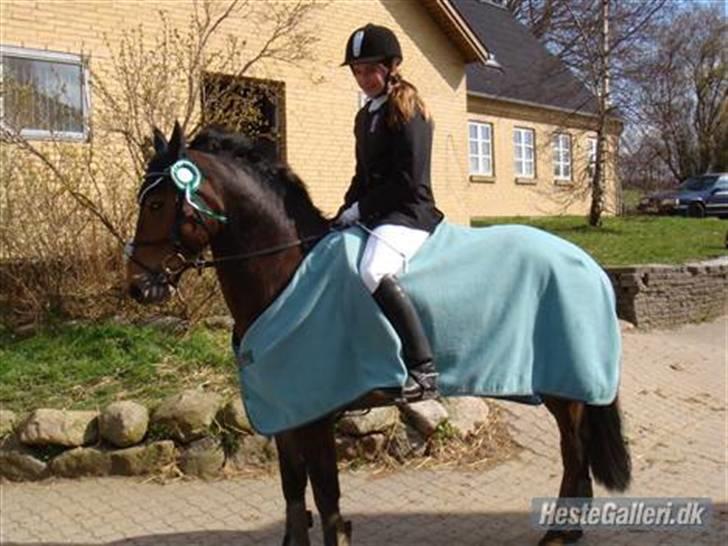 Anden særlig race Victoria - Efter præmieoverrækkelsen i spring på Ryttergården <3 billede 14