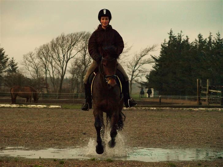 Anden særlig race Victoria - Ridning på Vittrup 08/09 :b billede 16