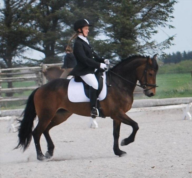 Anden særlig race Victoria - Victoria i LA3 :D billede 18