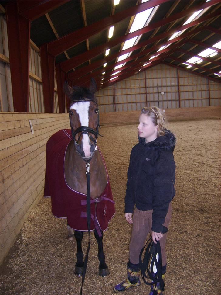 DSP Joey macoy. billede 12