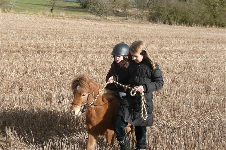 Miniature Tarzan billede 2