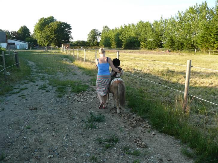 Miniature Tarzan billede 4