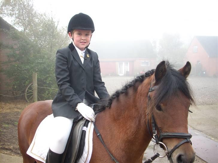 Dartmoor Innis Julian - Bassedrengen og jeg.  billede 2