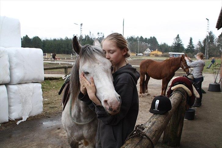 Anden særlig race Jody - "Jeg elsker dig." Der er simpelt hen ikke mere at sige! <3 billede 10