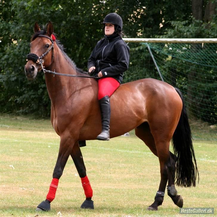 Traver Glory  - Foto: Sif billede 16