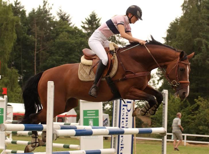 Dansk Varmblod Egegårdens Carisma - silkeborg jysk rideuge LB foto: Line Meldgaard Andersen billede 4