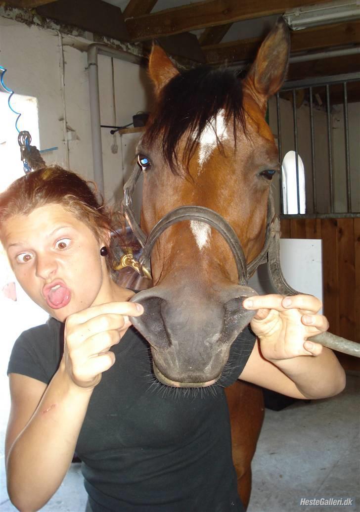Tysk Sportspony Mirabell  {RIP} - hahahahahahha. hvor er vi dog smukke 8D billede 15