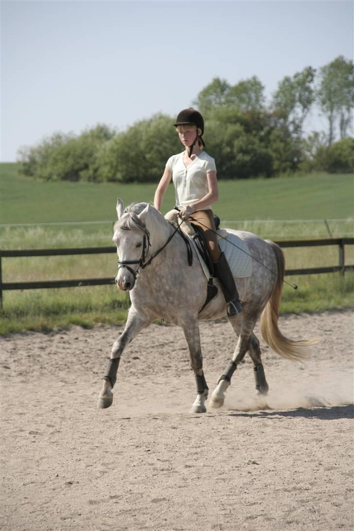 DSP Mon Dieu - Igang med en schenkelvigning billede 6