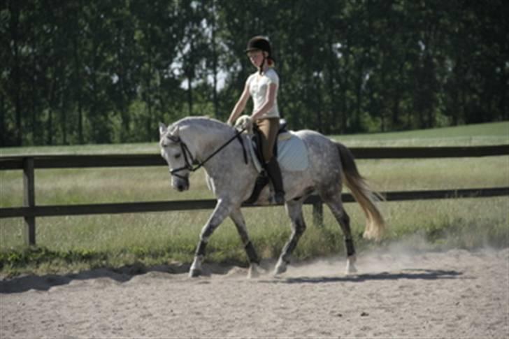 DSP Mon Dieu - trav billede 7