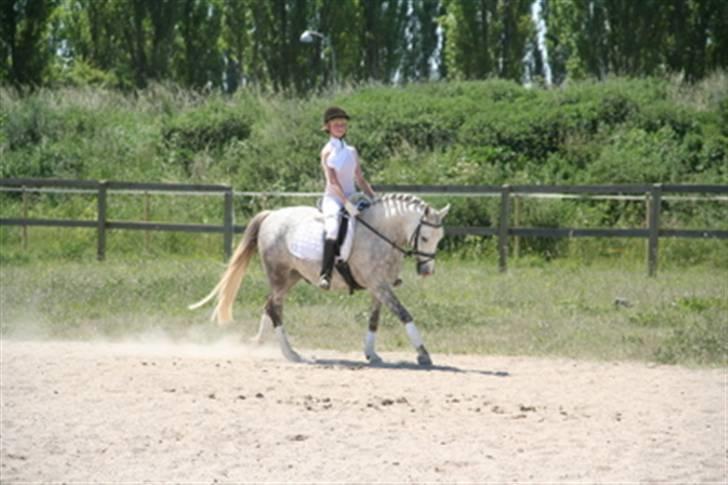 DSP Mon Dieu - galop billede 8