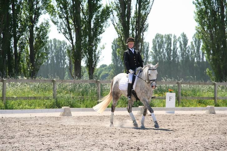 DSP Mon Dieu - Til stævne i Hvidovre Avedøre billede 9