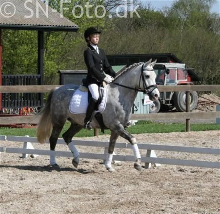 DSP Mon Dieu - Til stævne i Ishøj billede 10