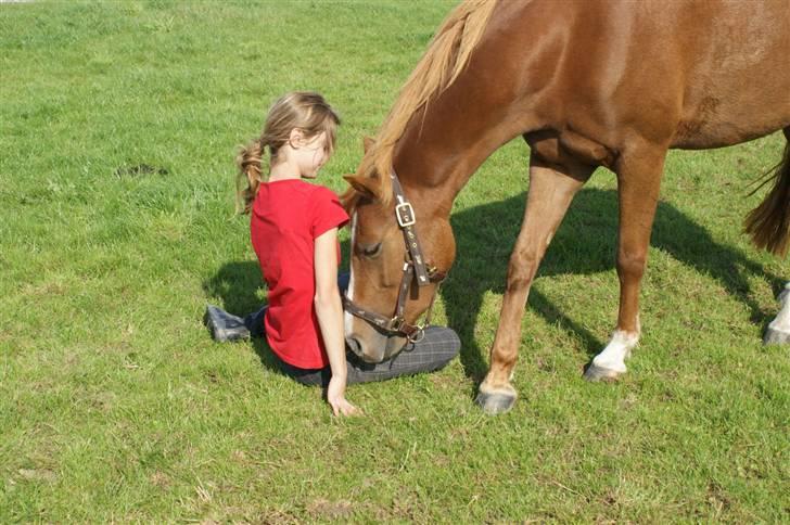 DSP Holmgaard Mesann  - 20. Nåår Lille ven kan du lugte noget? (: Foto: Anna - Tak billede 20