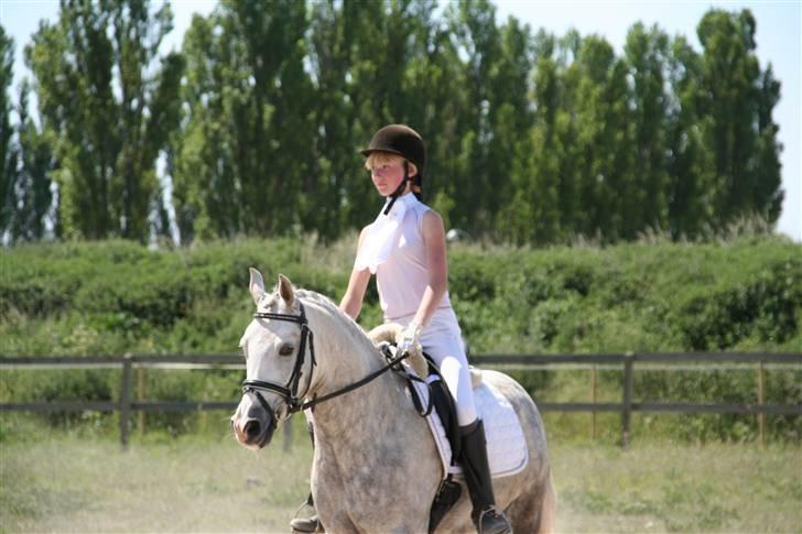 DSP Mon Dieu billede 12