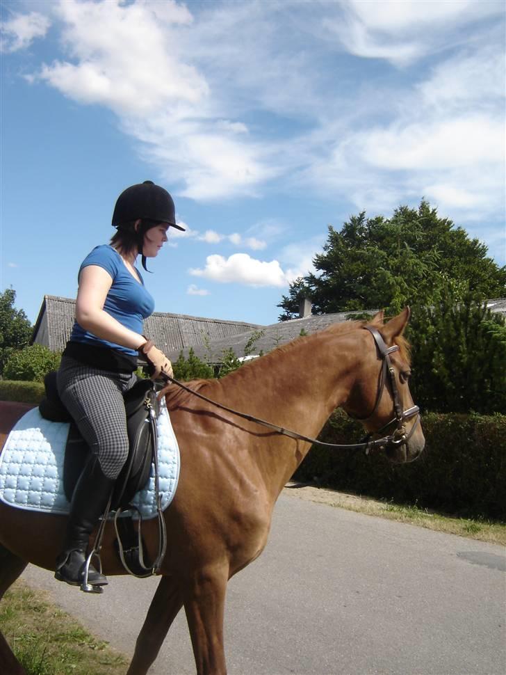 Anden særlig race Junker [Redet og passet] - Foto: ANNE BR. billede 2