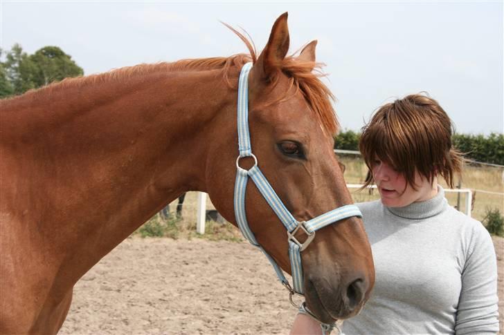 Anden særlig race Junker [Redet og passet] - ja, du er bare sådan en dygtig dreng :) foto: DIANA. billede 6