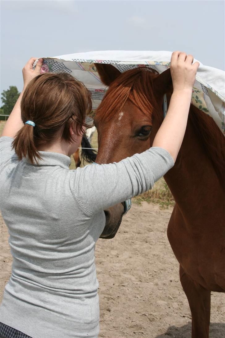 Anden særlig race Junker [Redet og passet] - tittebøøøh .. :) foto: DIANA. billede 9