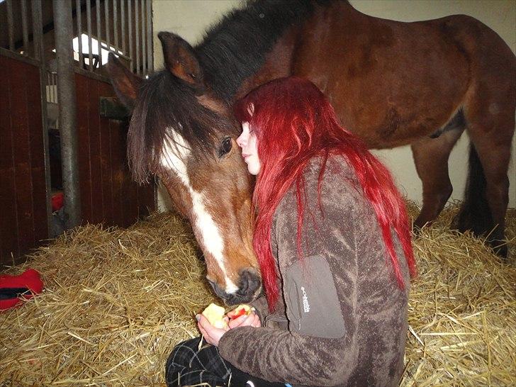 Anden særlig race Snublis (Snubber) † - 10. feb. 10.. Her sluttede vores 5 års eventyr.. I Boksen på dyrehospitalet.. Vores sidste minutter sammen. Du er på de evige græsmarker nu, men jeg vil aldrig stoppe med at elske dig Snubber, ALDRIG! Vi ses igen.. det ved jeg. billede 20