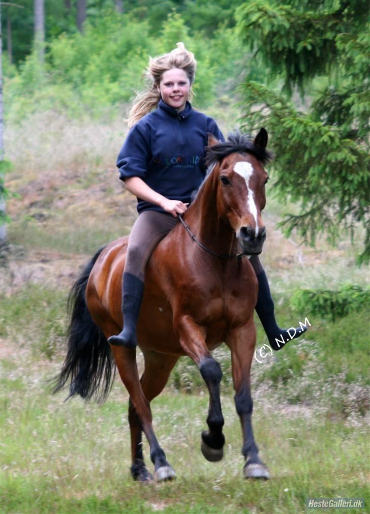 Anden særlig race Snublis (Snubber) † - Foråret 2008. På skovtur. billede 2