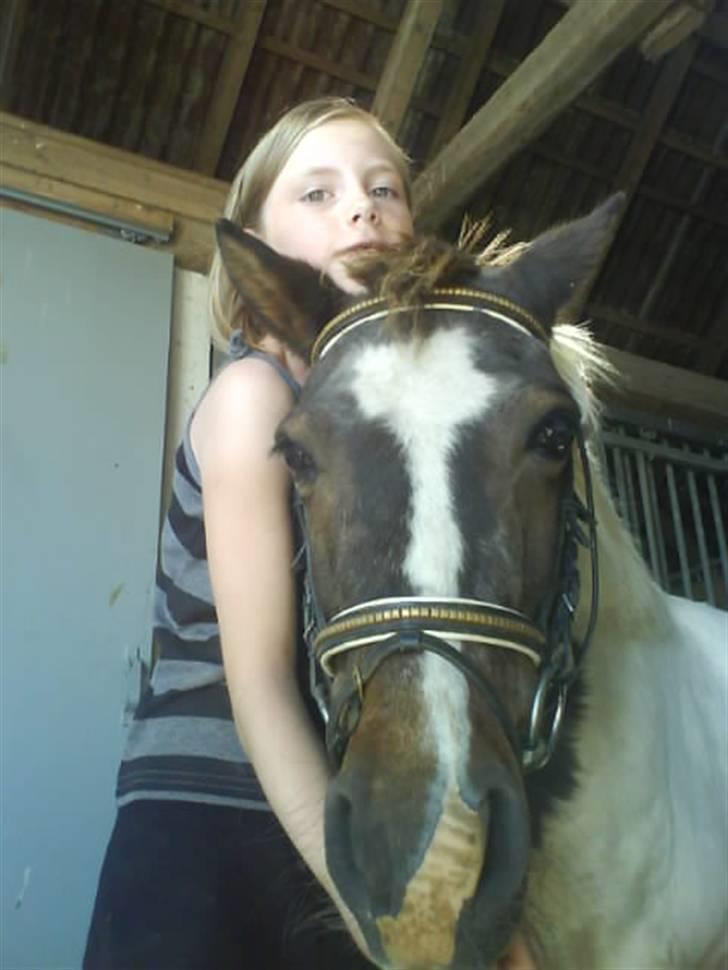 Anden særlig race Flicka sanet og elsket (RIP):( billede 17