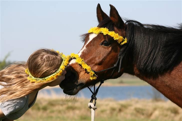 Anden særlig race Snublis (Snubber) † - Foråret 2009. Min mælkebøtte <3  billede 7