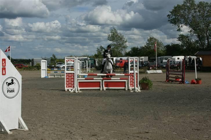 Belgisk Sportspony - Decision - mig og dec til fyensmesterskab 2008 ( desværre taget lidt for tidligt ! øv ) billede 6