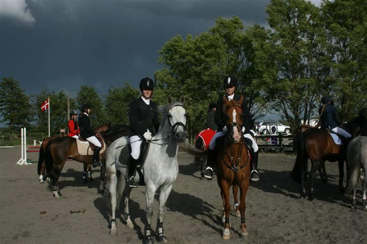 Belgisk Sportspony - Decision - mig,dec og katja,amaryllis på opvarmning ved FM billede 7